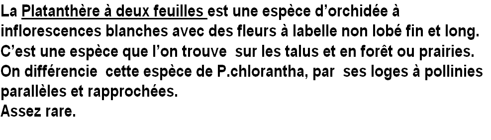 wpbb2e0b33.png
