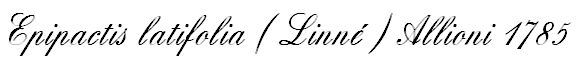 wpbcda6515.png