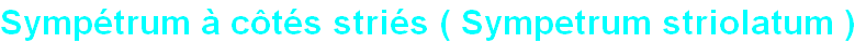 wpbe18f6e2.png