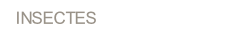 wpbf6bc4b4.png