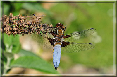 wpc1efb387_0f.jpg