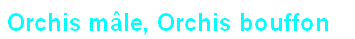 wpc2cb1d48.png
