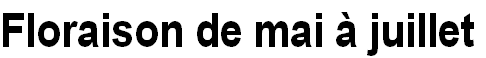 wpc3989ece.png