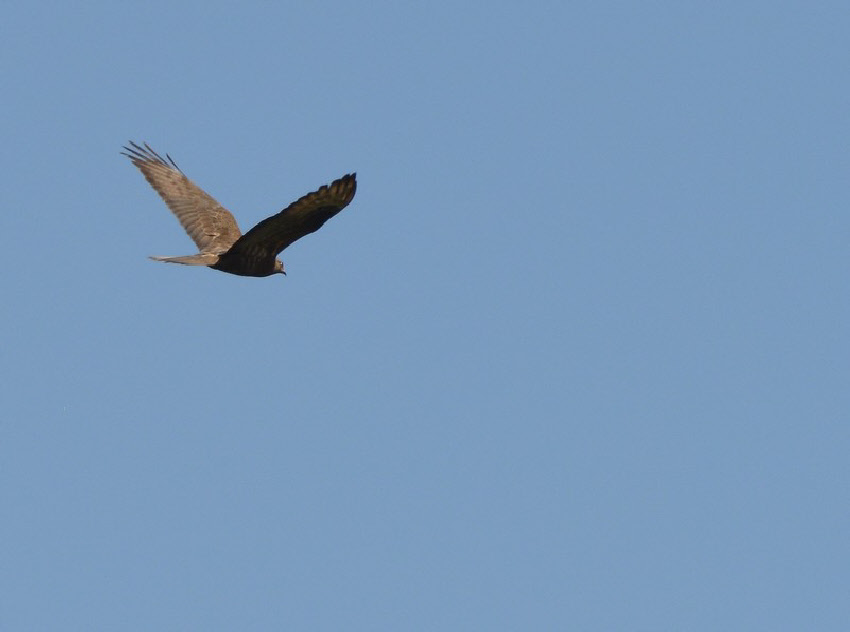 wpc4ab8332_0f.jpg