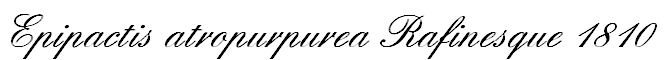 wpc4f1a0bd.png