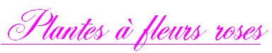 wpcb0fa97a.png