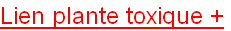 wpdce3c7cd.png