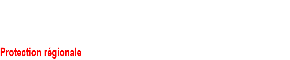 wpde64a6f6.png
