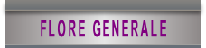 wped20fba3.png