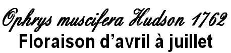 wpeec0655e.png