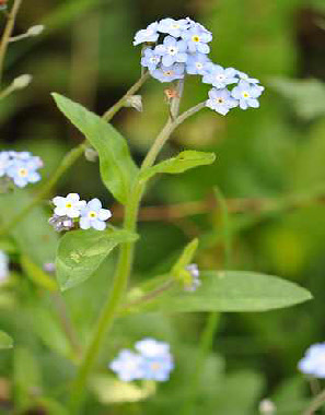wpefd20283_0f.jpg