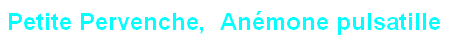 wpf00fdec5.png