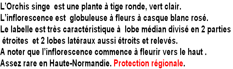wpf541d396.png