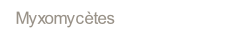 wpffdc25d8.png